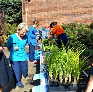 Adopt-a-seeding-initiative-(29-April)-2-(1).png